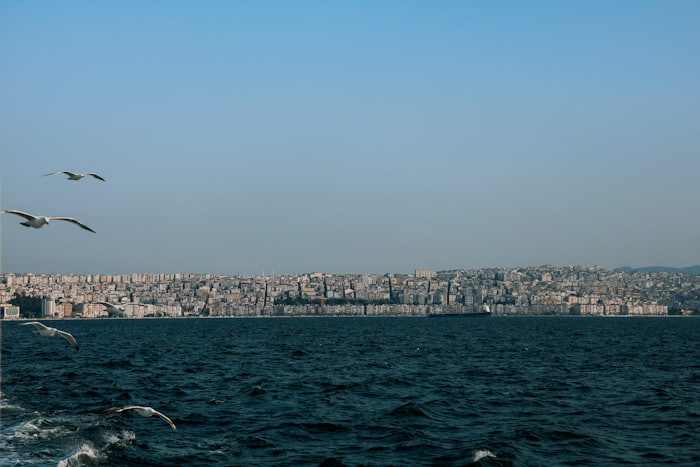 İzmir Körfezi ve martılar, Alsancak